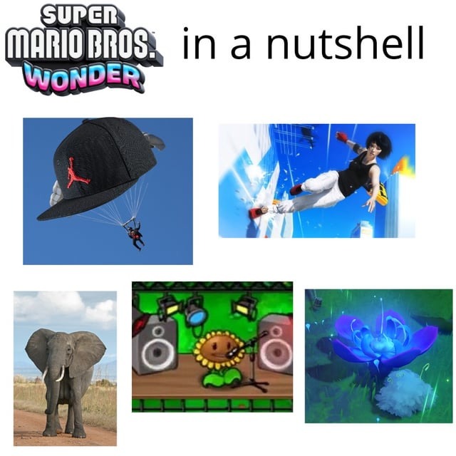 Super Mario Wonder - meme
