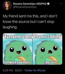 Code humor - meme
