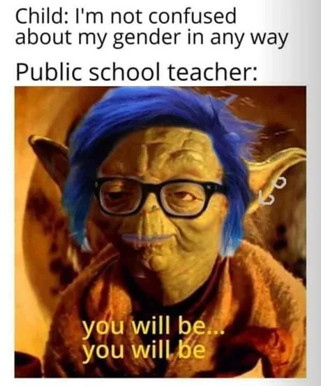 Public school teachers look like this? - meme