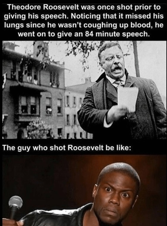 Based Roosevelt speech - meme