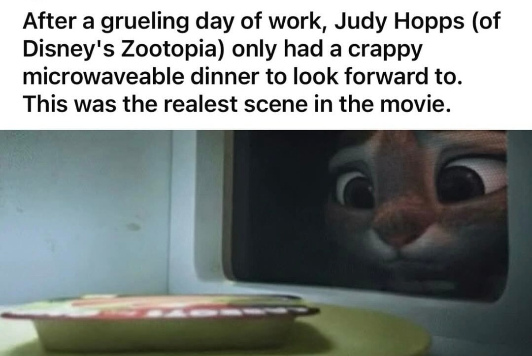 Judy Hopps gets home after saving Zootopia and all she has is a sad microwave meal - meme