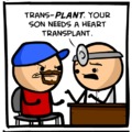 Trans-PLANT
