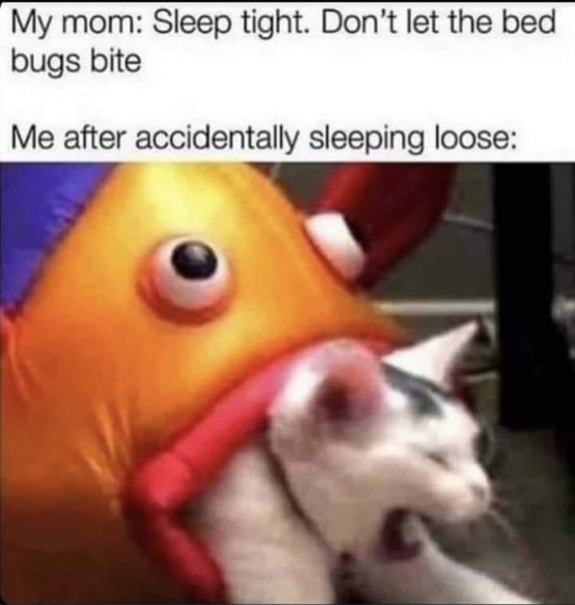 bed bugs - meme