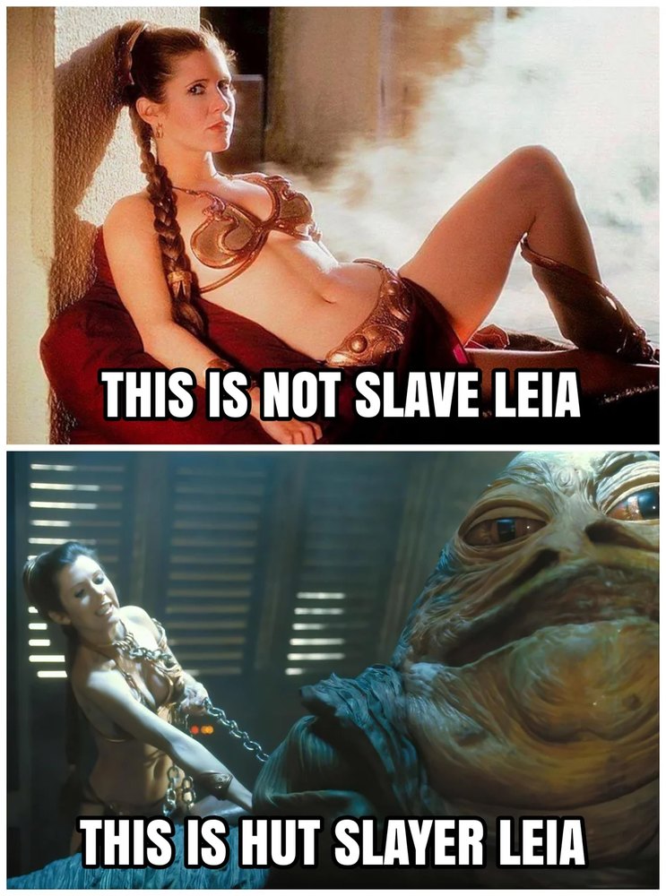 Hut Slayer Leia - meme