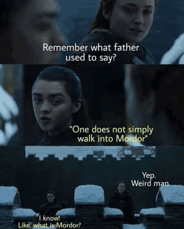 Ned stark loved frodo - meme