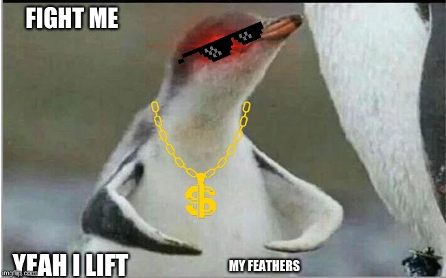 that one penguin that flexes - meme