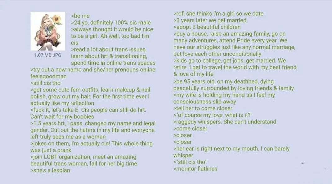 i wanna magically turn into a girl - meme