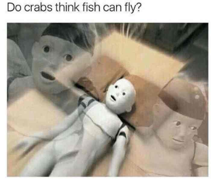 Drunken thoughts about crabs and fish - meme