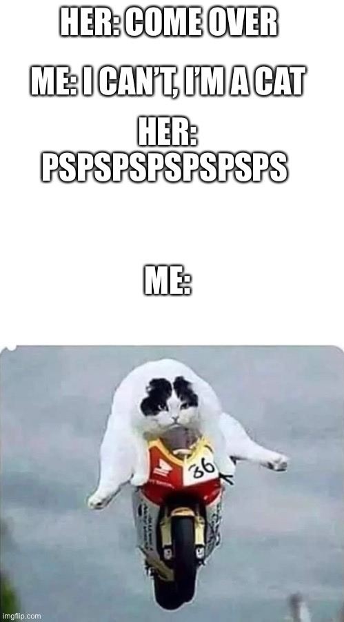 pspsps - meme