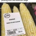 minimum wage bananas