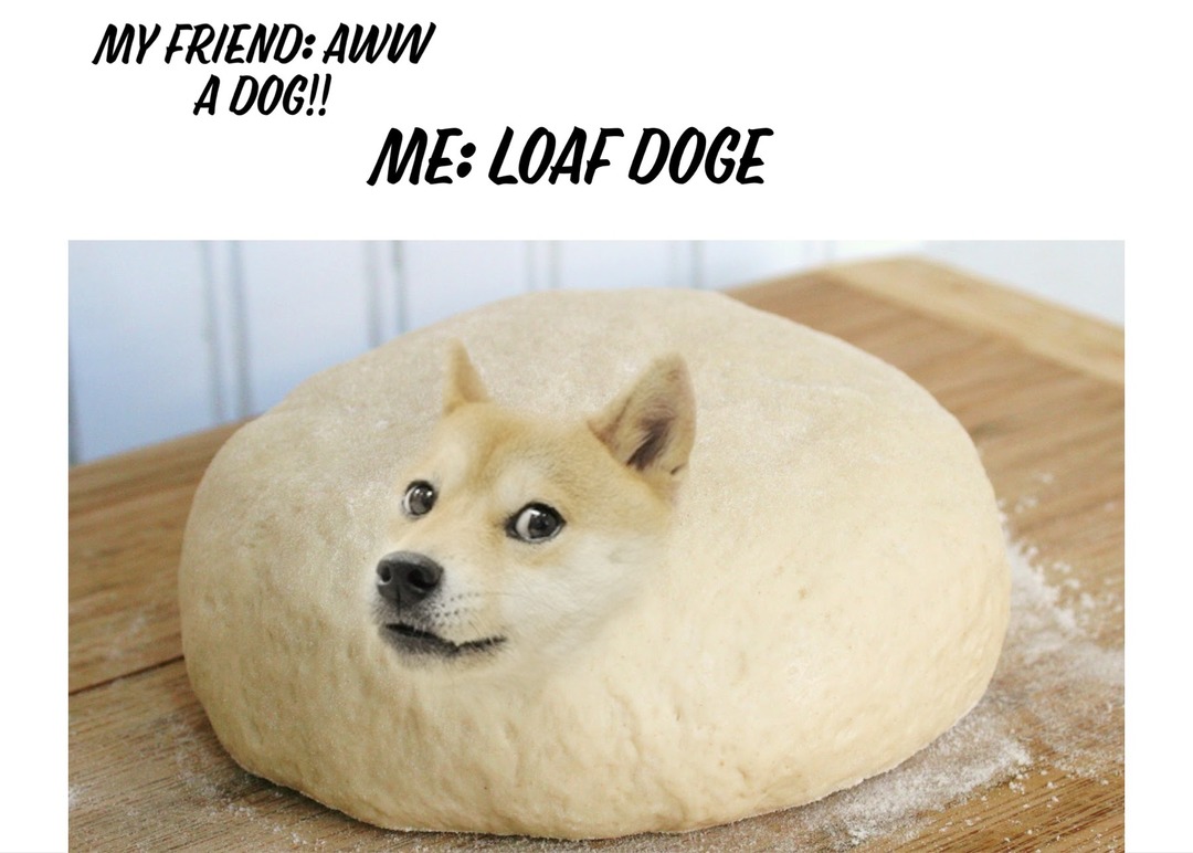 Loaf Doge - meme