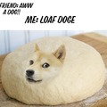 Loaf Doge