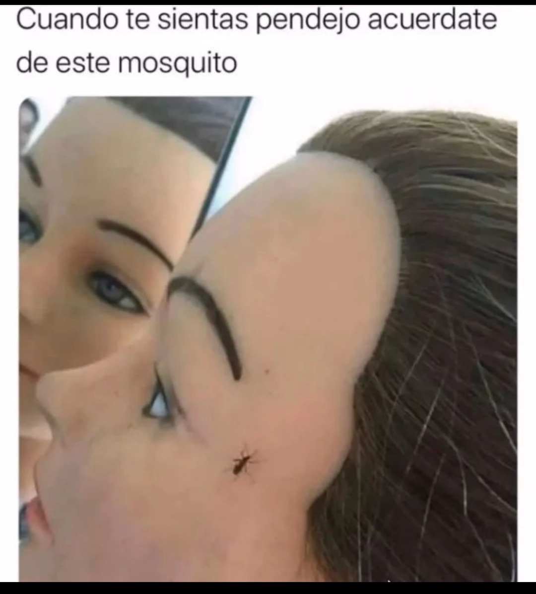 Mosquito nuv - meme