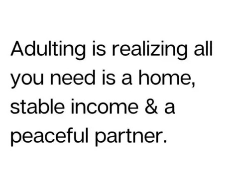 Adulting meme