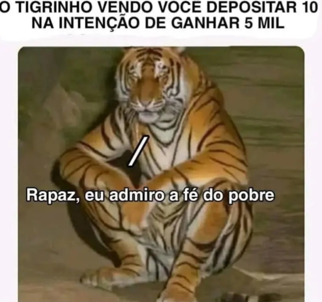 O bonde do tigrão - meme