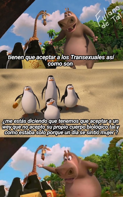 Ahora sí hice la plantilla para tenerla limpia - meme