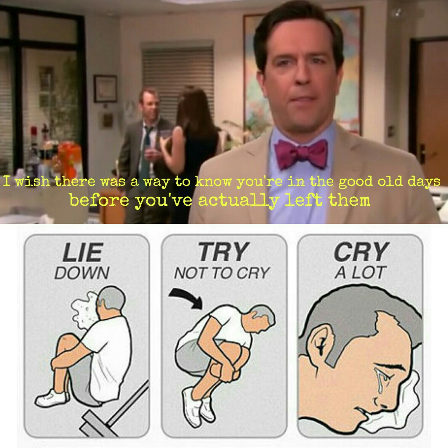The Office was a great show - meme