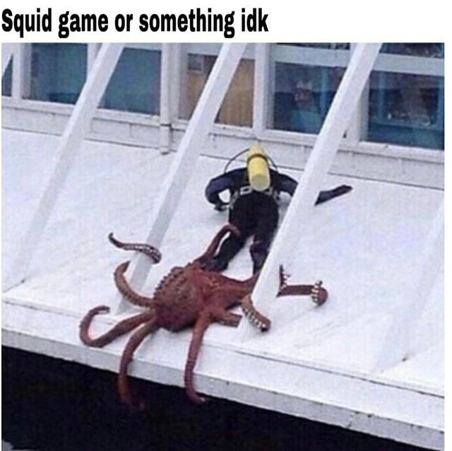 The ending of squid game - meme