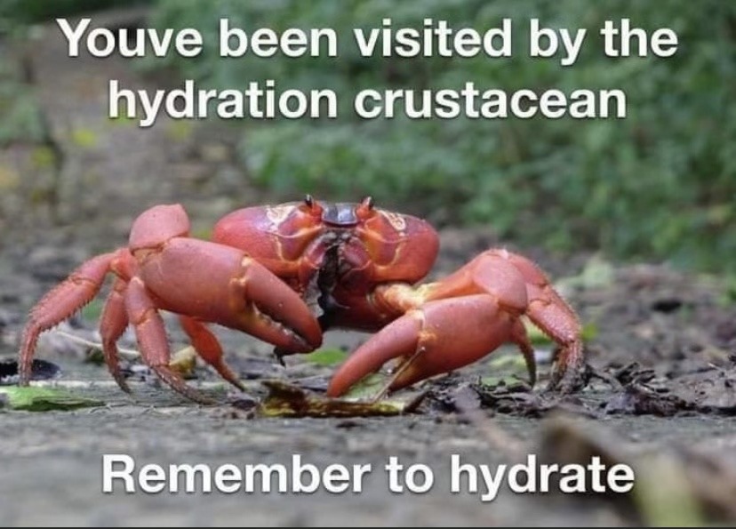 Drink water - meme