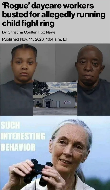 Rogue daycare workers busted for running child fight ring - meme