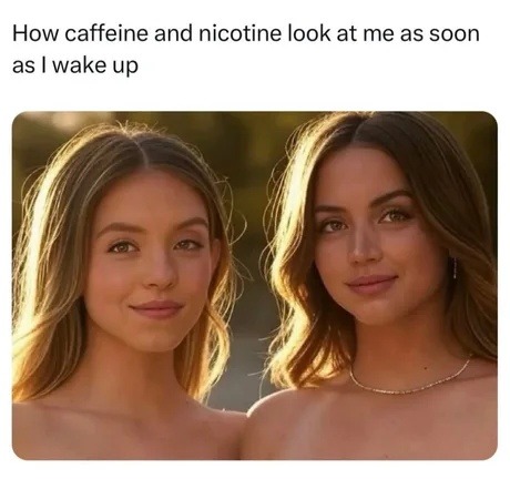 Nicotine and caffeine waiting like morning demons - meme