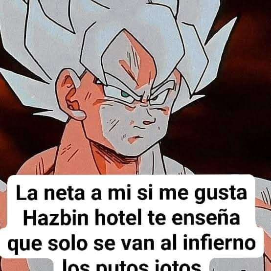 Hazbin Hotel es mierda - meme