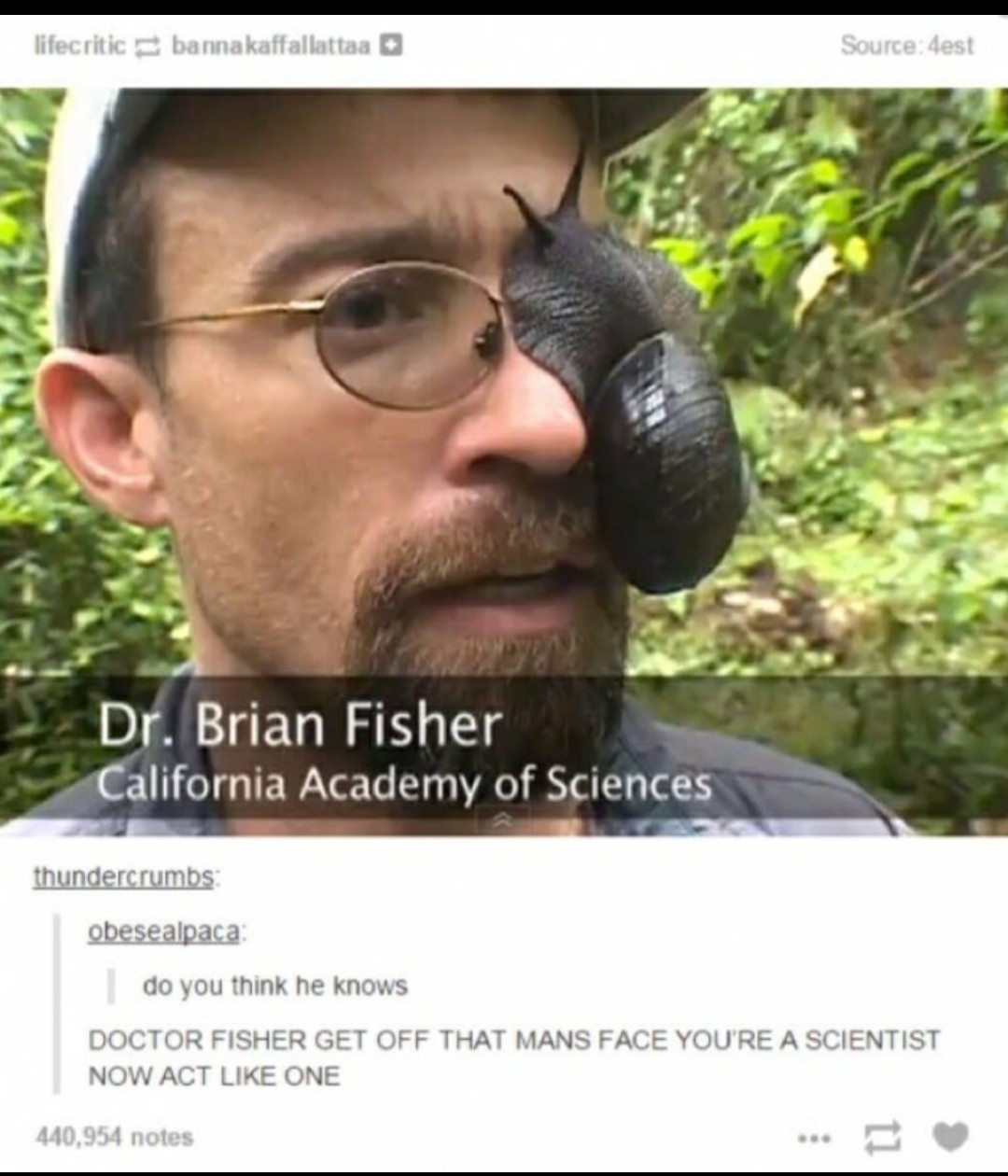 Dr Brian Fisher - meme