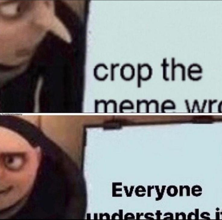 Everyone understands it - meme