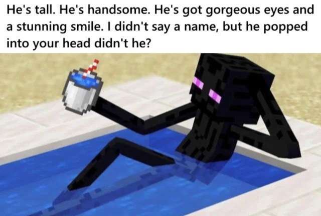 Chill Minecraft character - meme