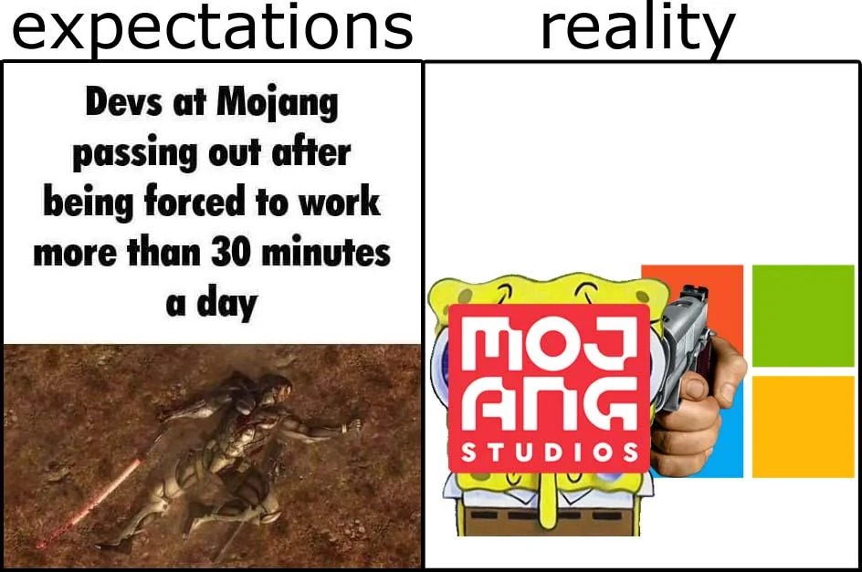 Mojang expectation vs reality meme