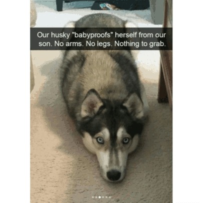 Instructions unclear - meme