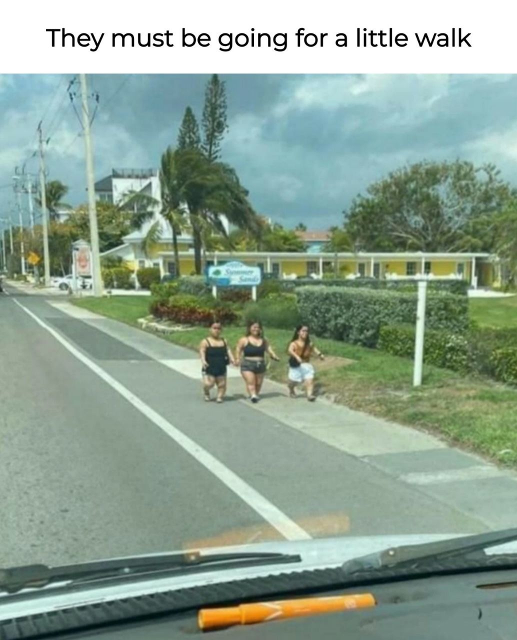 They’re not escaping, they’re just out for a casual stroll - meme