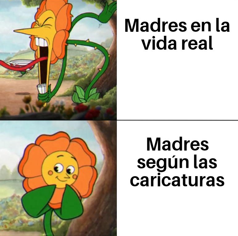 Fantasia VS Realidad - meme