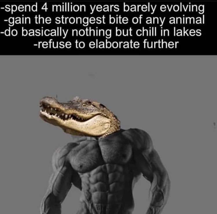 evolution? nah just gonna chill - meme