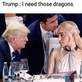 I want your Dragons