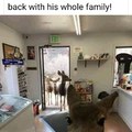 What a DEER Family!
