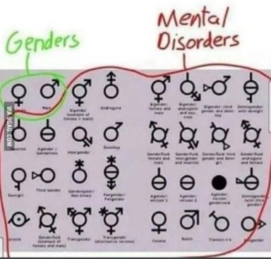 There is only 2 genders - meme