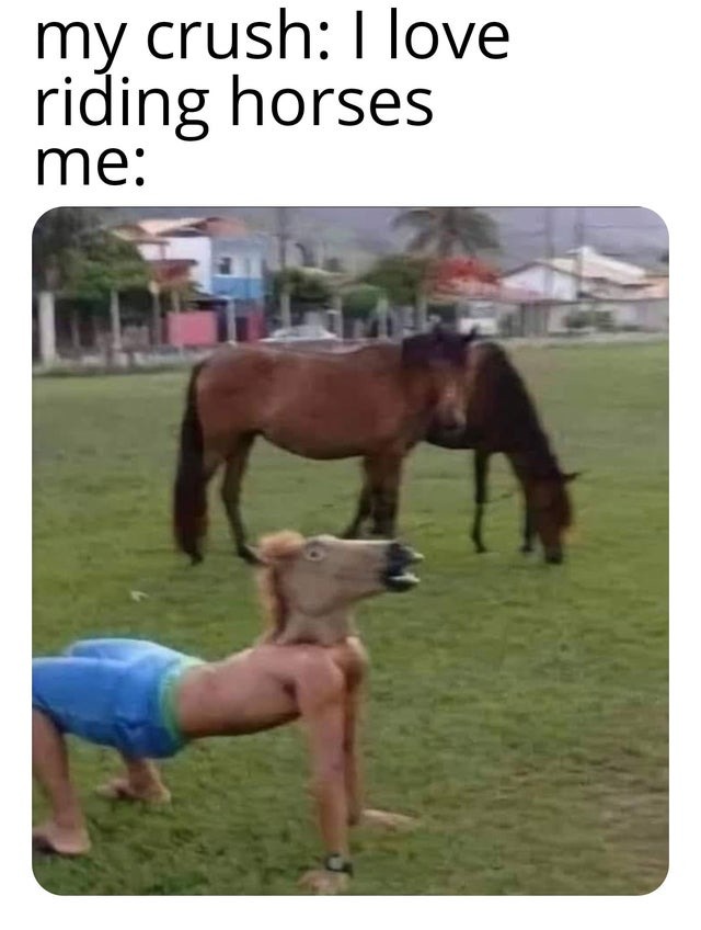 I've heard my crush likes riding horses - meme