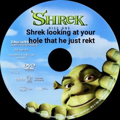 The disc artist knew whats up. - meme