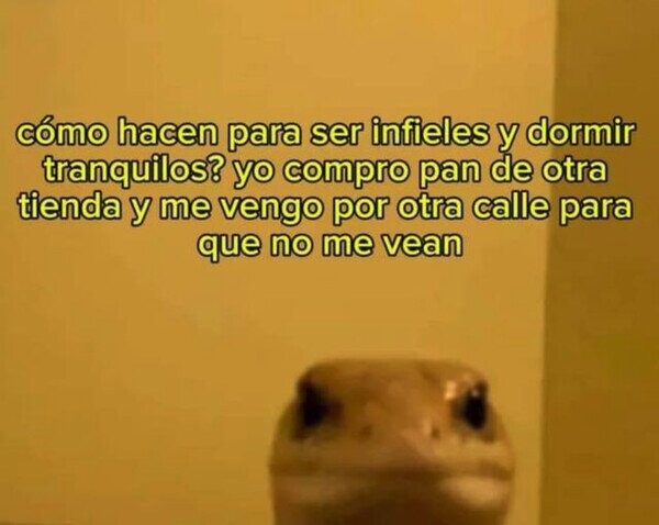 Infiel con mi panadero - meme
