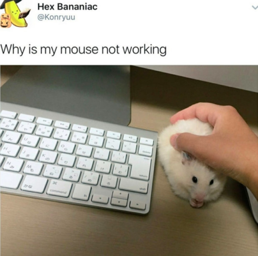 Not bothered doing a title - meme