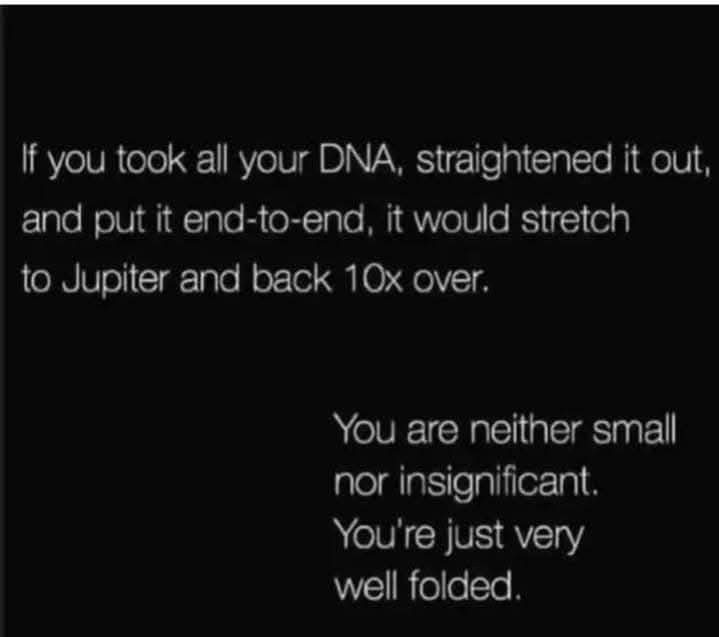 You’re not small, you’re just folded like origami - meme