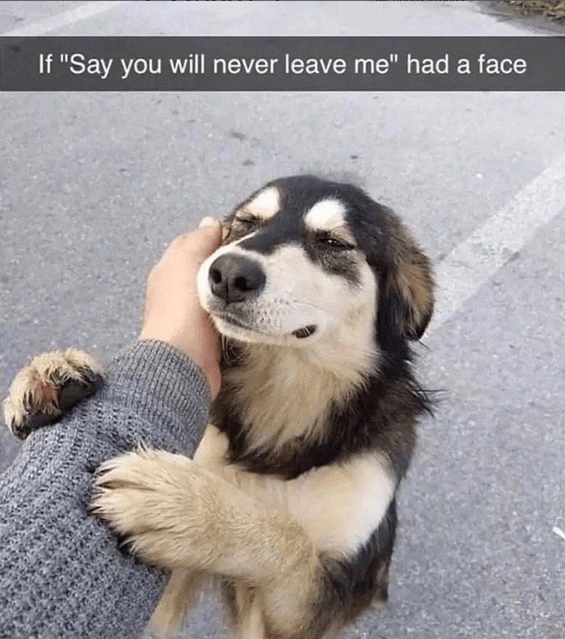 If ride or die had a face, this would be it - meme