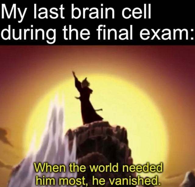 My last brain cell during the final exam - meme