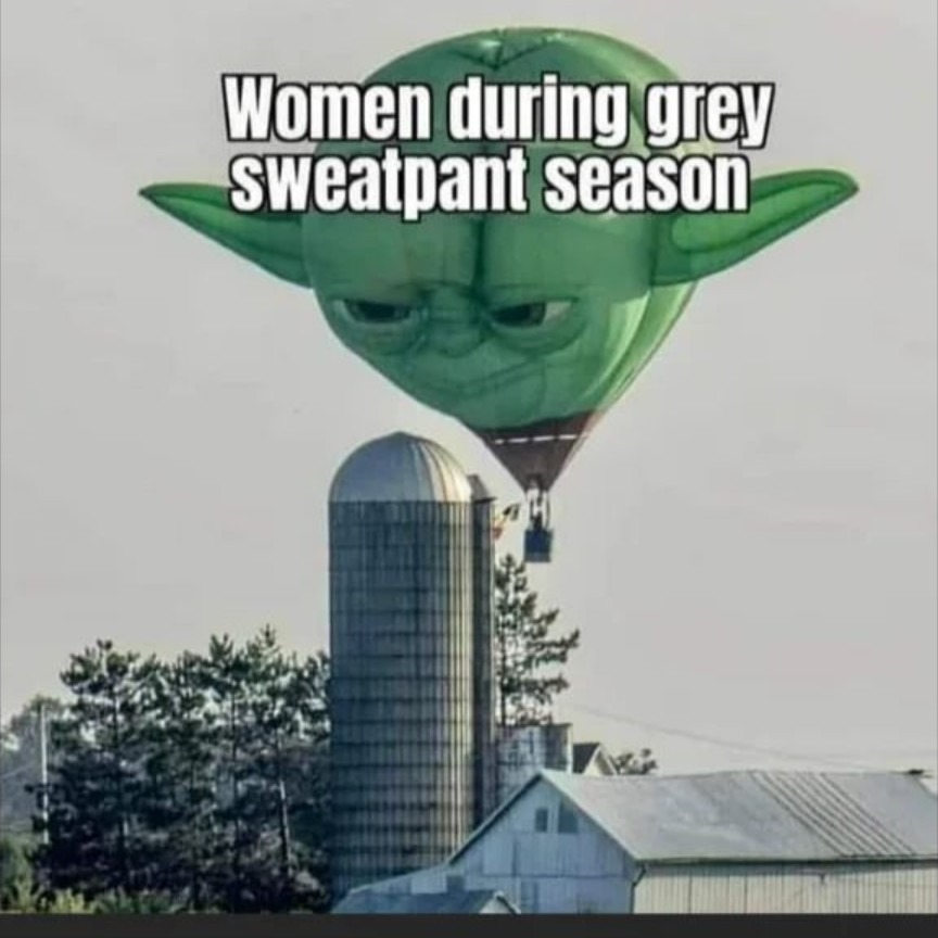 Grey sweatpants - meme