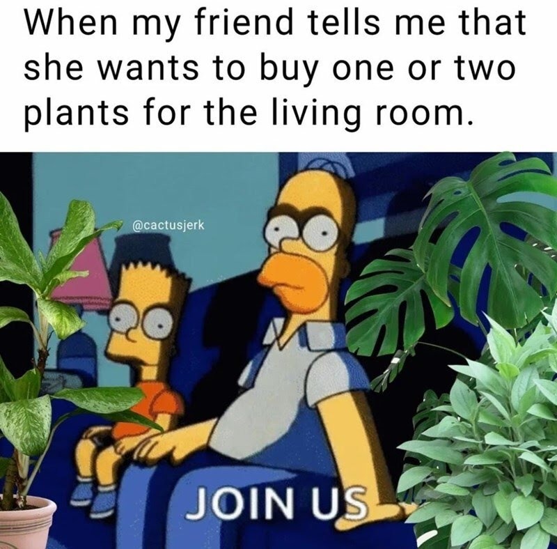 We tak so they can grow - meme