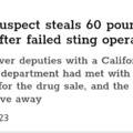 That sounds like drug trafficking with extra steps