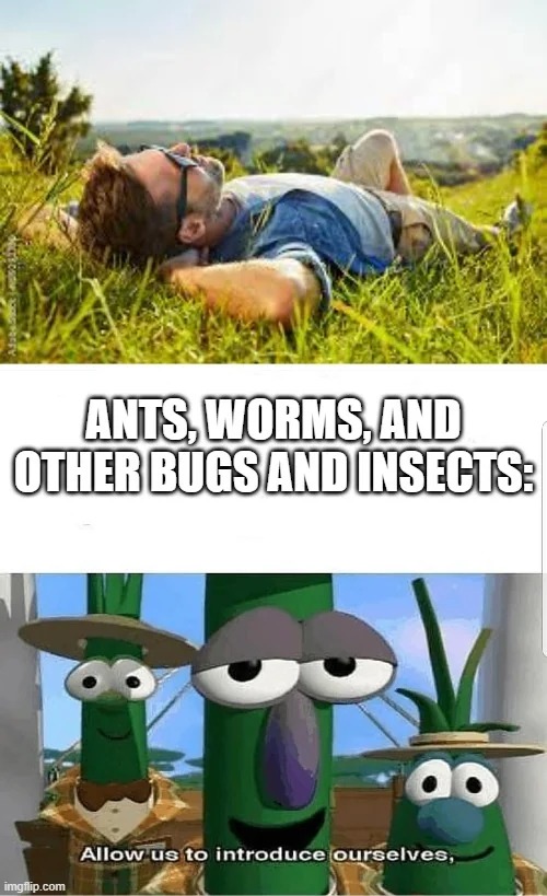 D-ANTS memes