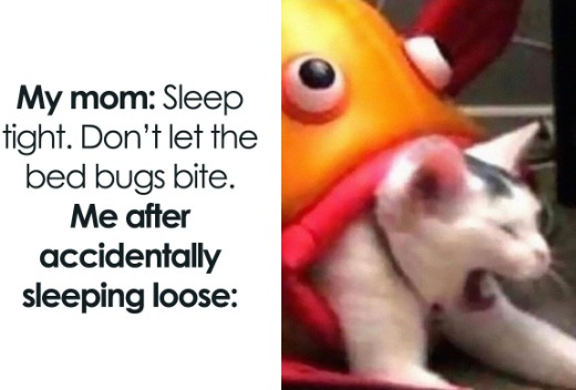 Bed Bugs :lol: - meme