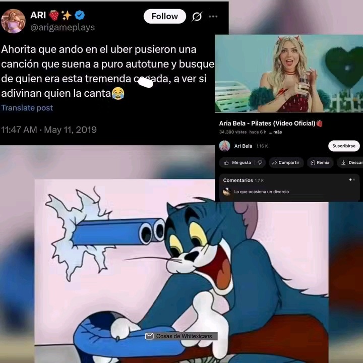 Arigameplays siendo tan contradictoria como siempre - meme